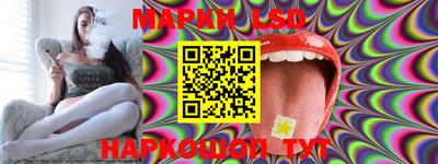твердый Будённовск
