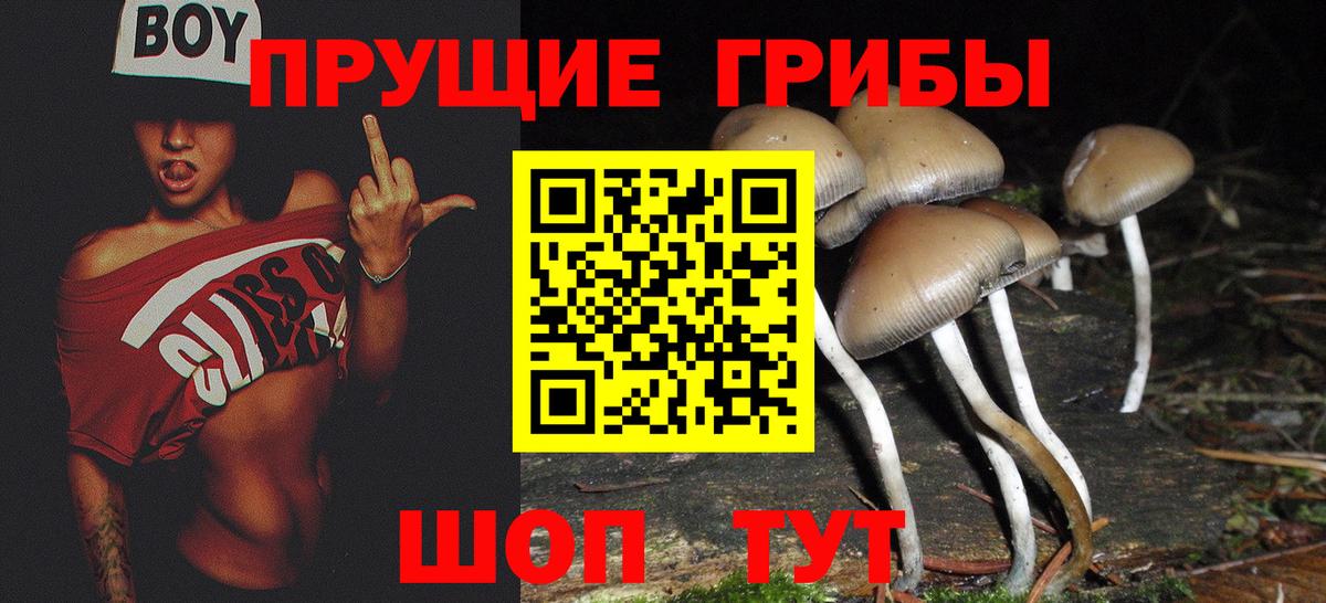 Чистополь  Галлюциногенные грибы Psilocybe  Вход с VPN  Галлюциногенные грибы Psilocybine cubensis 