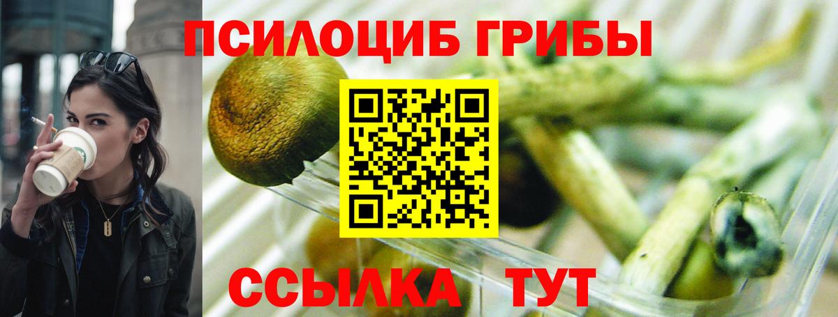 Галлюциногенные грибы мухоморы Чистополь